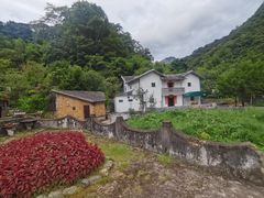 -雁南飞茶田景区