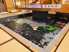 -汤泉良子(金源店)