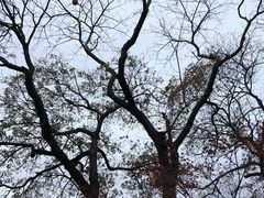 -杭州植物园