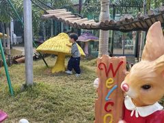 -正佳雨林生态植物园