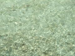 -东姑阿都拉曼海洋公园