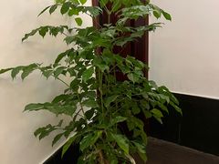 -儒之堂足道·SPA·推拿(莫干山路店)