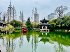 -水绘园