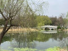 -月湖风景区