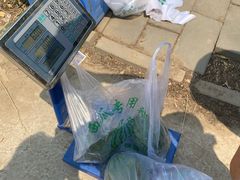 -庞各庄西瓜蔬菜采摘园·锦华瓜园