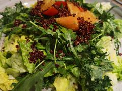 果蔬沙拉-青年公社烤鸭(青年路店)