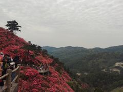 -木兰云雾山