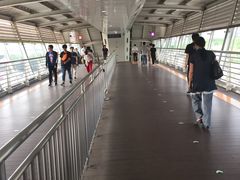 -望京西(地铁站)