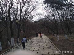 -高尔山公园