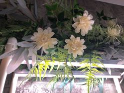 -摩睫+皮肤管理·科学美容中心