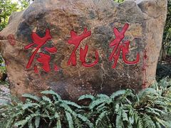 -金花茶公园