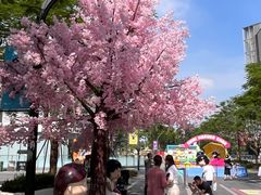 -东莞松山湖万象汇