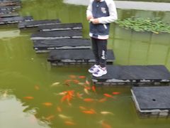 -洪湖悦兮半岛国际温泉度假村