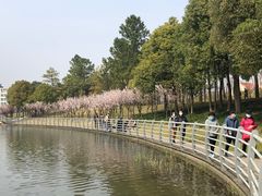 -美兰湖景区