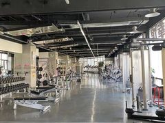 -天行健身＆天行拳馆跆拳道·格斗TXGYM