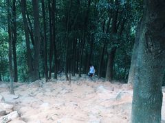 -火炉山森林公园