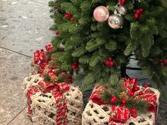 -星巴克(厦门SM新生活广场店)