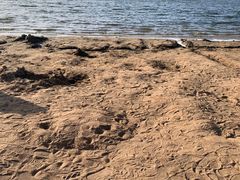 -长春市南湖公园