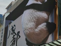 -合景·悠方(成都店)