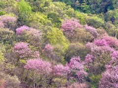 -武当山风景区