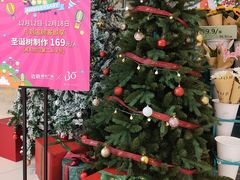-BOBLOOM花店(宝龙旭辉广场店)