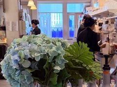 -Fern Forest Cafe