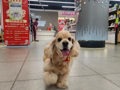 -全心全意动物诊疗中心医院(北苑店)