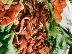 -三国惹火烤肉·中日韩烤肉集合店(百草路店)