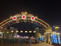 -武汉知音号