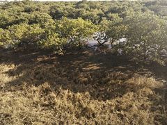 -北海金海湾红树林生态旅游区