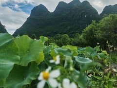 -生态苑农庄(十里画廊遇龙河店)