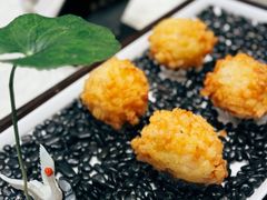 -丁老爷子苏香圆