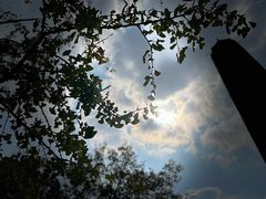 -上海佘山国家森林公园天马山园