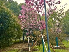 -梁鸿国家湿地公园