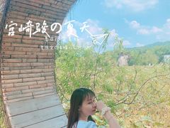 -红山村