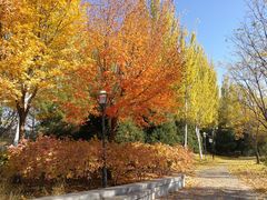 -北极寺公园