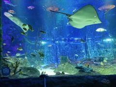 -沈阳海洋探索中心