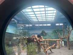 -秦皇岛野生动物园