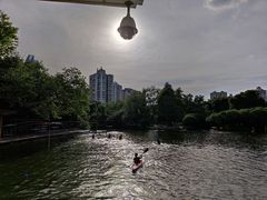 -晓港公园
