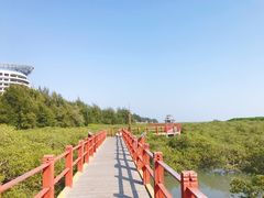 -北海金海湾红树林生态旅游区