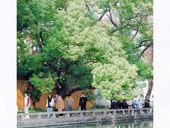 -西园寺