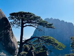 -黄山风景区