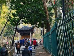 -灵岩山风景区