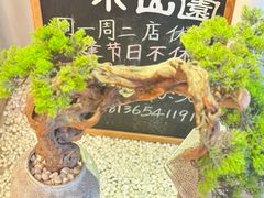 -王守财小山園