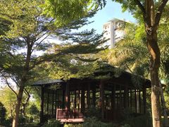 -深圳国际园林花卉博览园