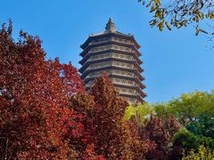 -玲珑塔公园
