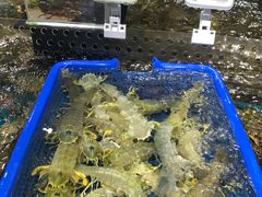 -盒马鲜生(皇庭广场店)