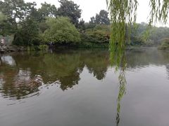 -西湖外事游船(花港观鱼码头)