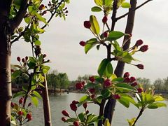 -大兴滨河森林公园