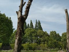 -同里国家湿地公园
